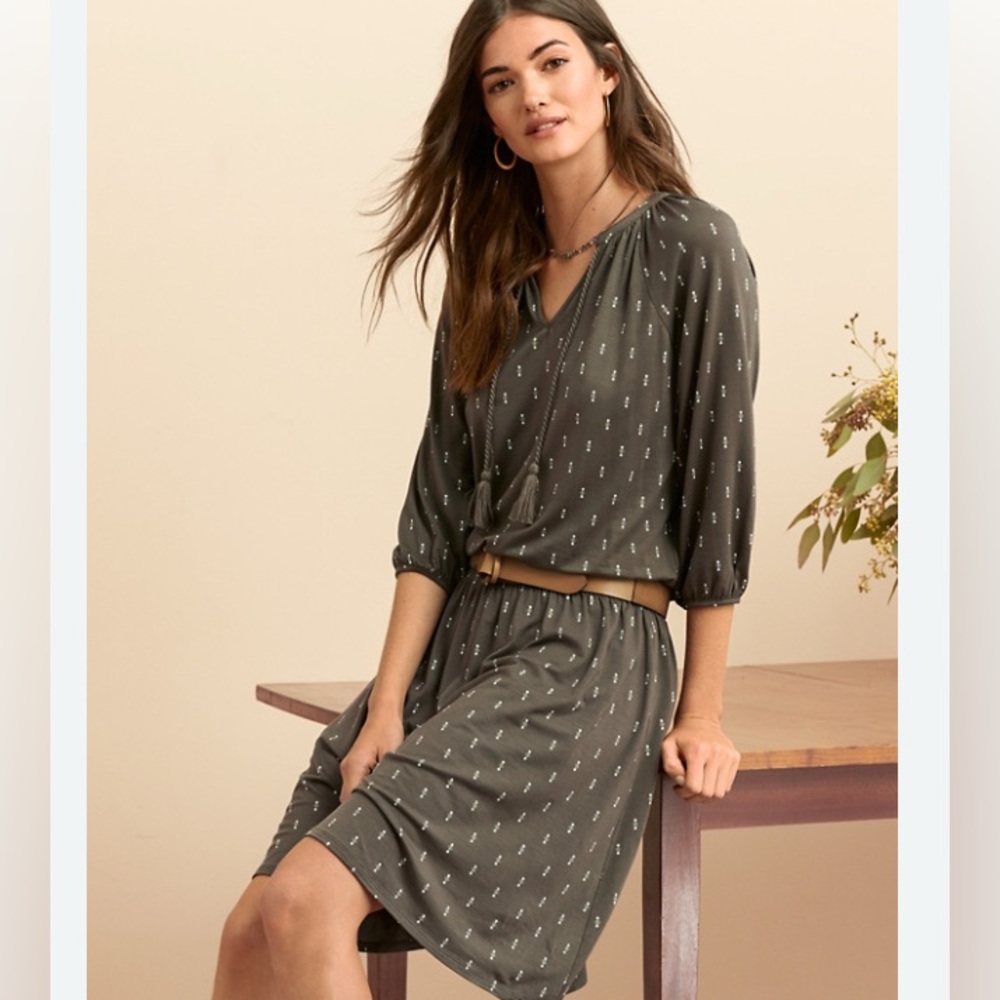 Garnet Hill Dress